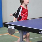 Vikend namizni tenis