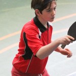 Vikend namizni tenis