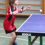 Vikend namizni tenis