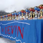 Pokal prijateljstva