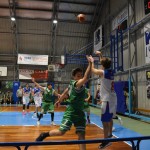 Bor Radenska – Intermek Cordenons