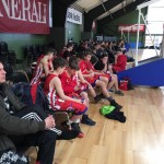 Basketball Wien