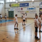 VolleyMania