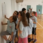 VolleyMania
