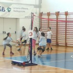 VolleyMania