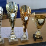 Finale Šolskega jezikovnega poligona