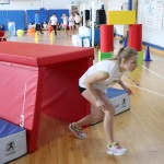 Finale Šolskega jezikovnega poligona