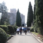 Finale Šolskega jezikovnega poligona