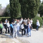 Finale Šolskega jezikovnega poligona