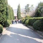 Finale Šolskega jezikovnega poligona