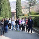 Finale Šolskega jezikovnega poligona