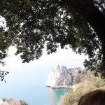 Finale Šolskega jezikovnega poligona