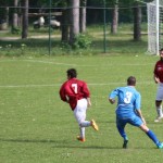 016-nog2AL_Alabarda-Breg