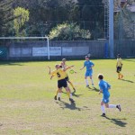 Vesna – Sistiana Sesljan