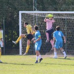 Vesna – Sistiana Sesljan