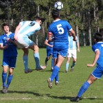 Alabarda – Sovodnje