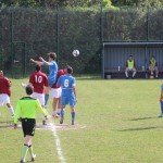 044-nog2AL_Alabarda-Breg