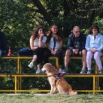 Primorje – Trieste Calcio