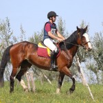 Evropski pokal Trec