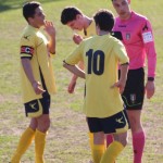 Vesna – Sistiana Sesljan