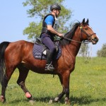 Evropski pokal Trec