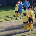 Vesna – Sistiana Sesljan