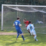 Alabarda – Sovodnje