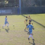 Vesna – Sistiana Sesljan