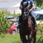 Evropski pokal Trec
