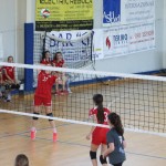 Sokol C - Orion Coselli femminile