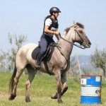 Evropski pokal Trec