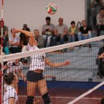 Zalet – Eurovolleyschool