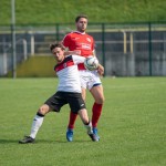 Fontanafredda - Kras