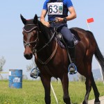 Evropski pokal Trec
