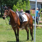 Evropski pokal Trec