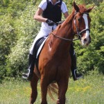 Evropski pokal Trec