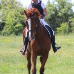 Evropski pokal Trec