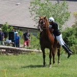 Evropski pokal Trec
