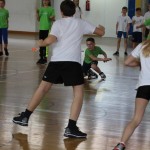 Igra medvema ognjema