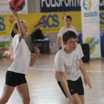 Igra medvema ognjema