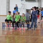 Igra medvema ognjema