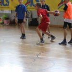 Igra medvema ognjema