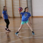 Igra medvema ognjema