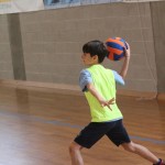 Igra medvema ognjema