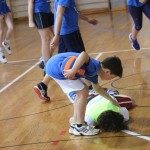 Igra medvema ognjema