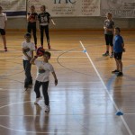 Igra medvema ognjema