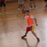 Igra medvema ognjema