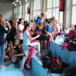 Igra medvema ognjema