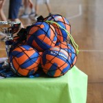 Igra medvema ognjema