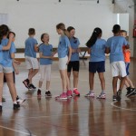 Igra medvema ognjema